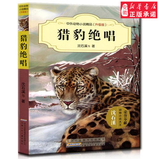 安少猎豹绝唱-中外动物小说精品(升级版)儿童文学沈石溪9787539777498安徽新华书店