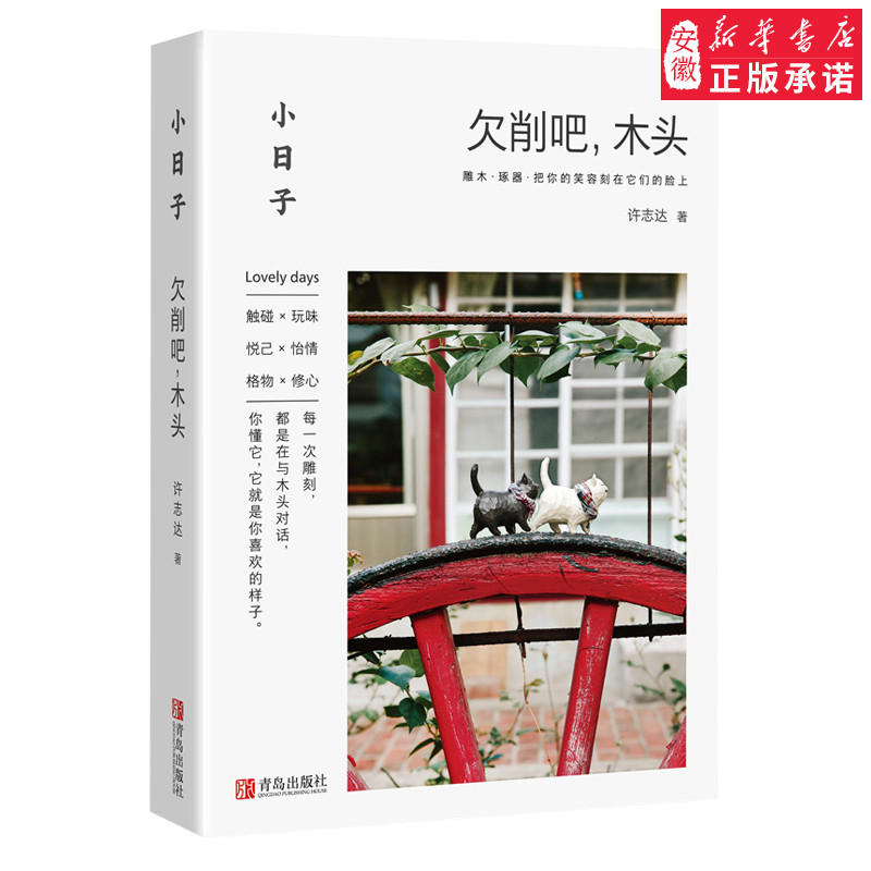 小日子：欠削吧木头 木工雕刻书 手工DIY木工小工具 木雕木工制作摆件物件 零基础初学者雕刻入门指南小饰品制作步骤详解书