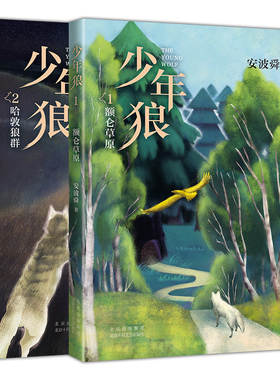 哈敦狼群-少年狼2