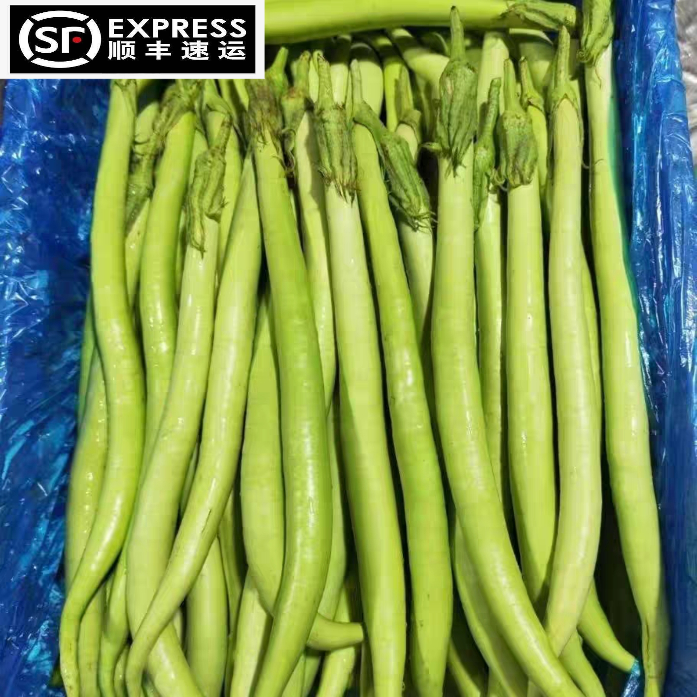 【顺丰包邮】盐步秋茄新鲜绿茄广东特产秋茄福建农场直发蔬菜长茄,水产肉类/新鲜蔬果/熟食,茄子,淘宝优惠券,粉丝福利购,淘宝优惠卷