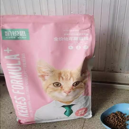 凯锐思幼猫猫粮1-12个月奶糕增肥发腮牛肉味幼猫粮专用粮粮4斤