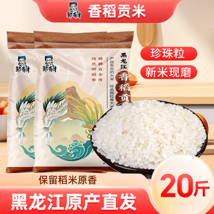 东北香稻贡米20斤当季新米圆粒米黑龙江5kg农家自种珍珠大米