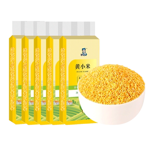 新货东北黄小米小米粥五谷杂粮粥新米月子米粥米伴侣真空包装尝鲜