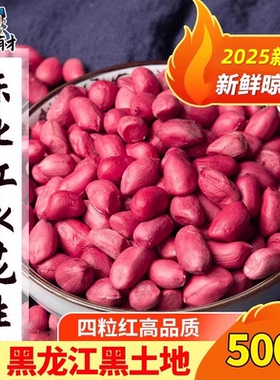2025东北红衣生花生米500g黑龙江四粒红花生仁新鲜红皮不带壳试吃