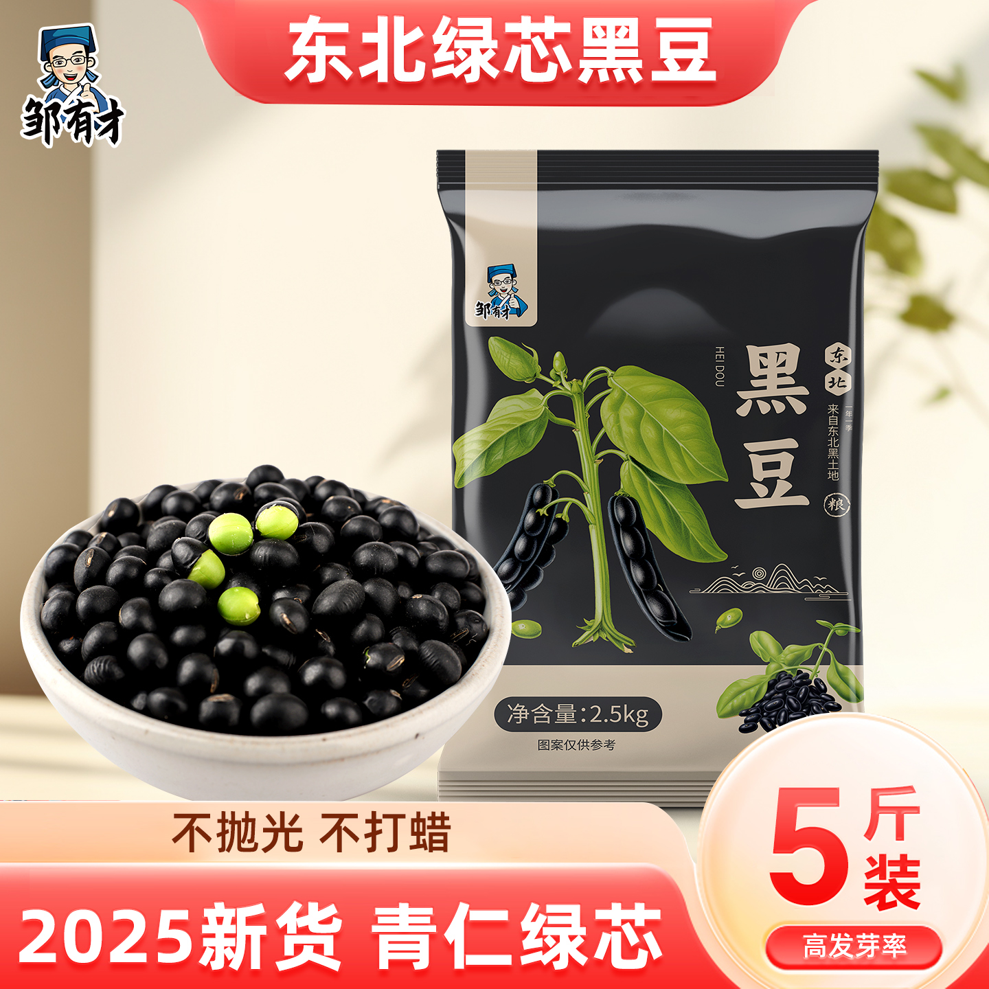 东北黑皮绿芯黑豆可打豆浆