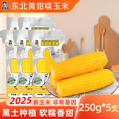 东北黄糯玉米现摘清甜粘糯