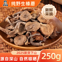 2025新干货 东北纯野生榛蘑丁农家小鸡炖蘑菇特产营养菌菇非香菇