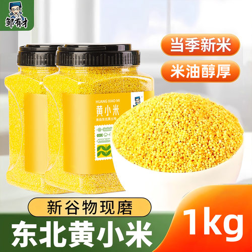 东北黄小米米油丰富金黄透亮