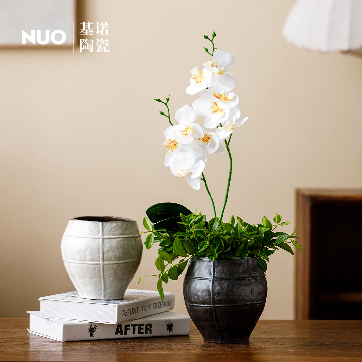 景德镇简约蝴蝶兰多肉发财树小盆栽家用铜钱草绿萝水培陶瓷小花盆,家居饰品,花盆,淘宝优惠券,粉丝福利购,淘宝优惠卷