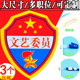 文艺委员徽章卫生劳动宣传纪律委员胸牌挂牌劳动体育学习委员袖 章