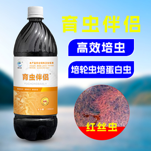 育虫伴侣育红丝虫轮虫黑水虻桑蚕养殖用