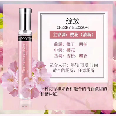 adopt 绽放 樱花香