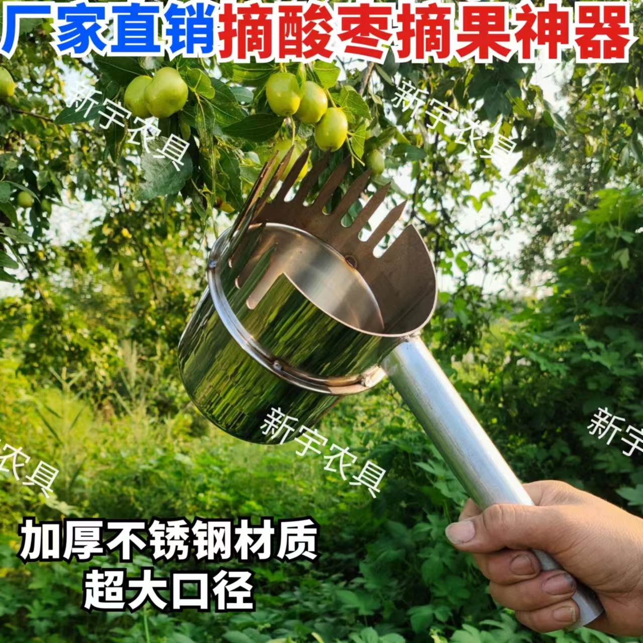 摘酸枣神器摘柏籽连翘石榴柿子苹果板栗山楂核桃高空摘果