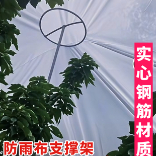 车厘子樱桃树防布雨支撑架果树车厘子樱桃防雨布顶托防水顶托