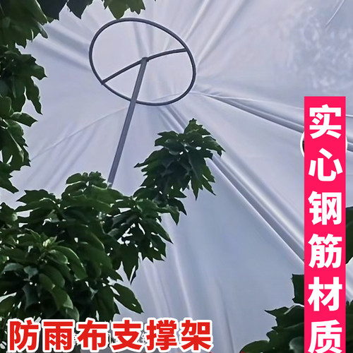 车厘子樱桃树防布雨支撑架果树车厘子樱桃防雨布顶托防水顶托