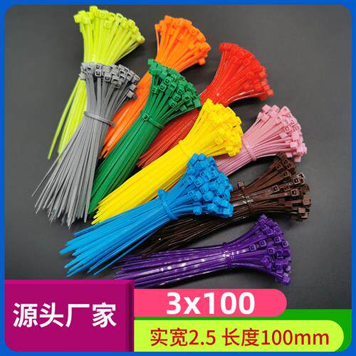 3*100mm 1000根国标扎带多色扎带可选自锁式园艺绑扎线绑扎带