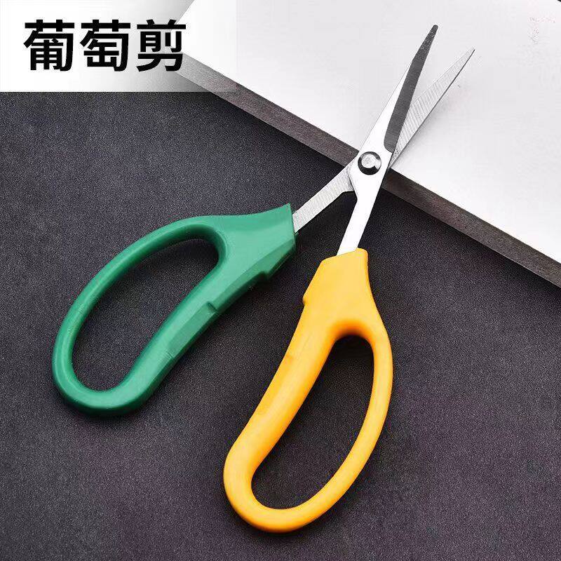 葡萄玫瑰专用不锈钢翘头剪刀园艺花艺剪刀蔬果树枝采果家用园林剪