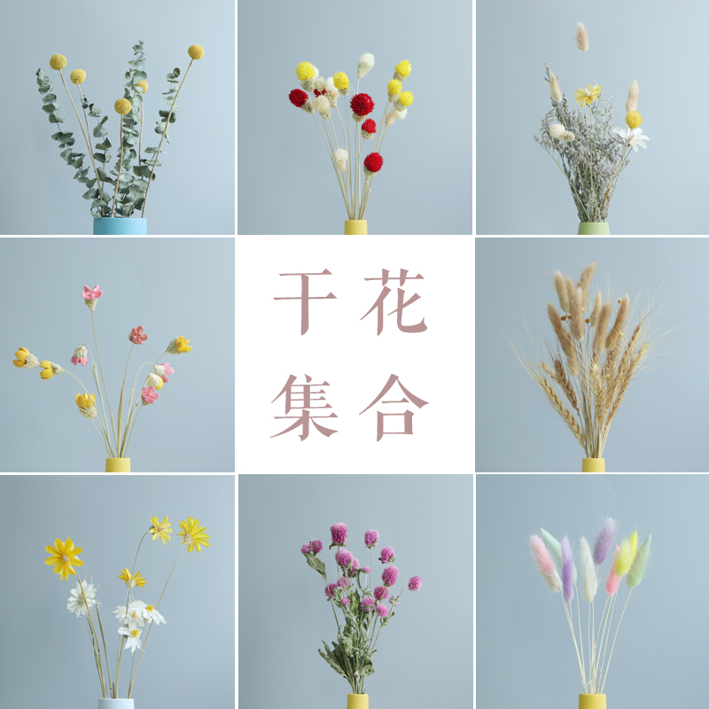 干花花束云南情人草天然植物花瓶插花家居摆件简约北欧客厅装饰,家居饰品,干花/花瓣/干花包/干树枝,淘宝优惠券,粉丝福利购,淘宝优惠卷