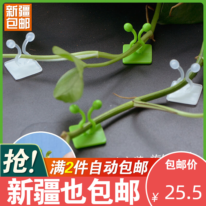 绿萝爬墙上花神器绿植固定器绿箩家用无痕卡扣绿R枝爬藤杆夹子挂