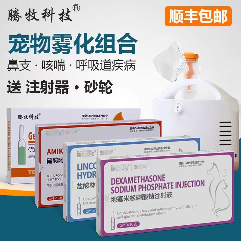 猫雾化宠物雾化阿米卡星庆大霉素