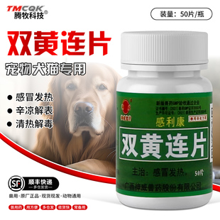 双黄连片宠物猫咪狗狗感冒药打喷嚏流鼻涕退烧药猫鼻支药咳嗽清热