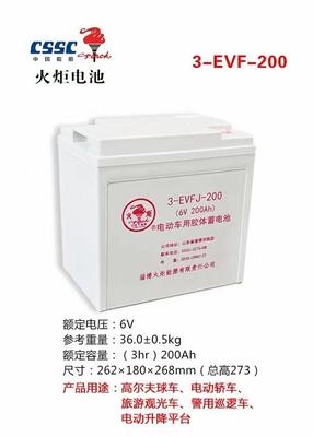 电动车用胶体蓄电池6V/12V/3-EVF-170/200/6-EVFJ-80/100/120