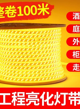 led灯带超亮220V户外工程照明高压COB防水养殖塔吊工地下室24V36