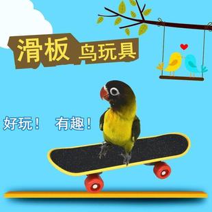 乌龟滑板玩具解闷自嗨磨砂滑板车乌龟滑板大号垒德株