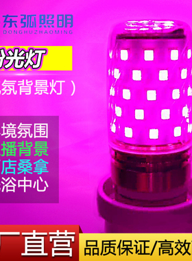 粉红色LED灯泡E27螺口紫粉色浪漫氛围灯装饰户外KTV夜市酒店装修
