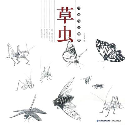 国图书店正版 草虫/白描技法精解 绘画:刘金保 9787539337265 福建美术出版社