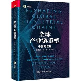 国图书店正版 全球产业链重塑:中国的选择 徐奇渊 东艳 9787300301501 中国人民大学出版社