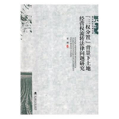 正版 “三权分置”背景下土地经营权流转法律问题研究 蒙柳 书店 法律书籍