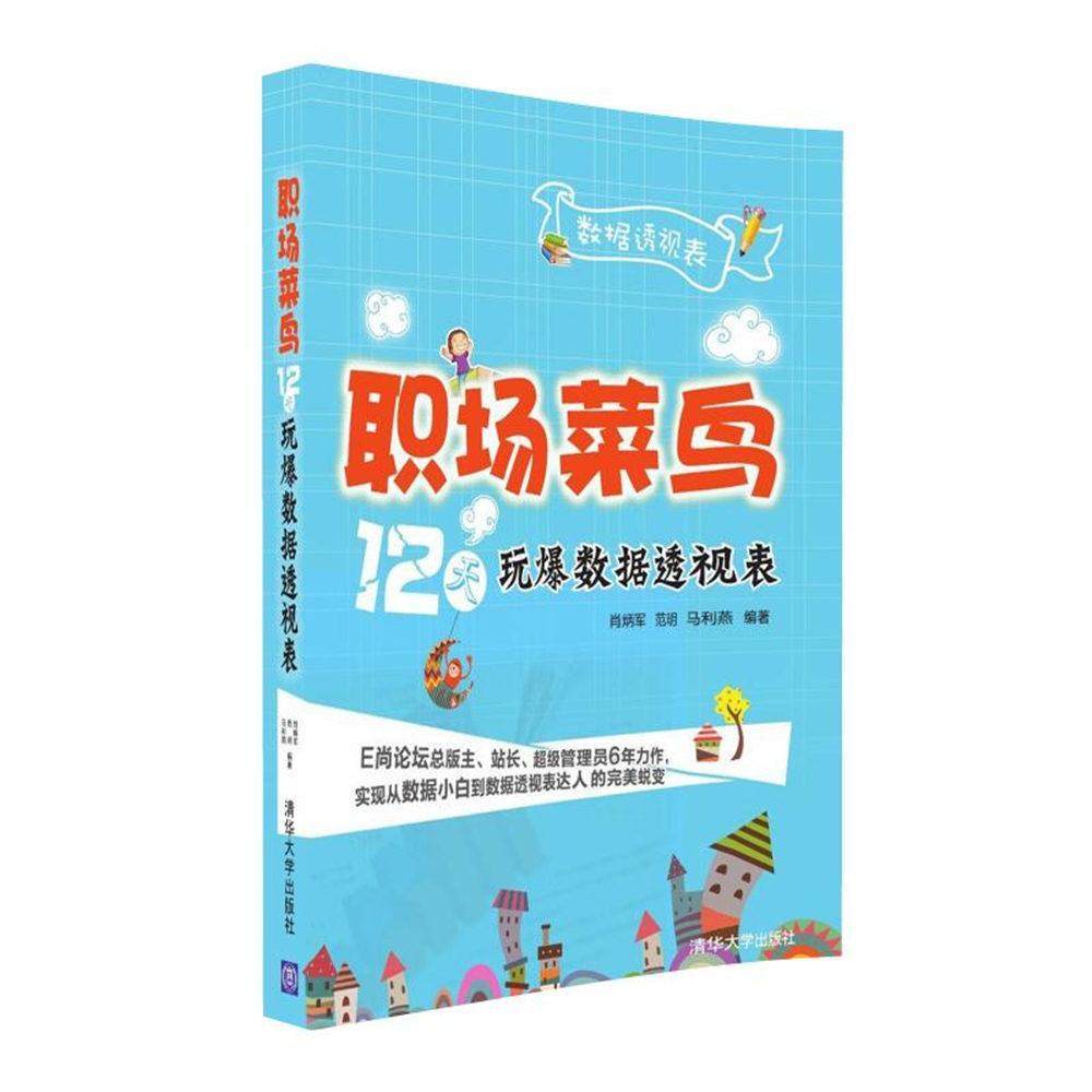 全新正版 职场菜鸟12天玩爆数据透视表肖炳军清华大学出版社表处理