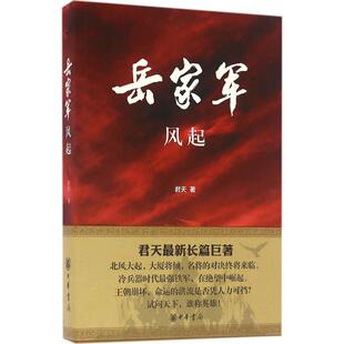 国图书店正版 岳家军：风起 君天　著 9787101117837 中华书局