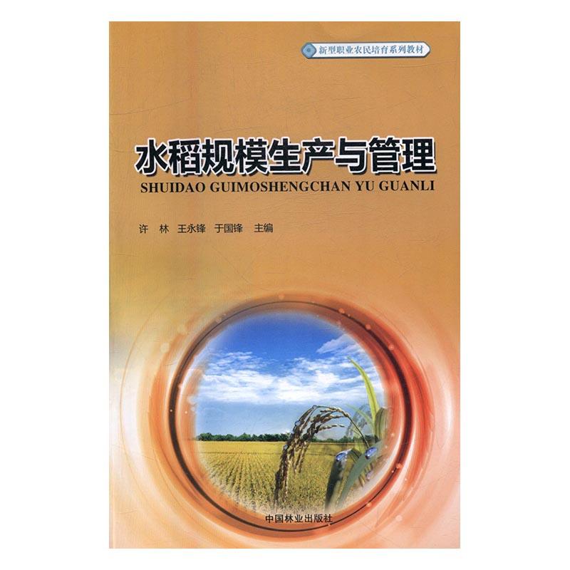 正常发货正版水稻规模生产与管理许林书店农林牧渔书籍