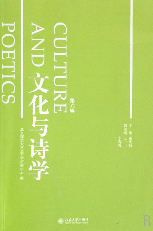 全新正版 文化与诗学:第六辑童庆炳北京大学出版社社会科学文集现货