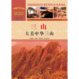 瑞士 作品集 安德烈亚斯·吕舍尔著 9787112186945 社 国图书店正版 中国建筑工业出版 建筑师