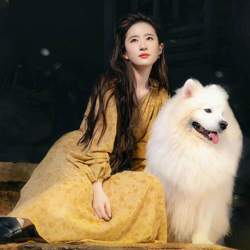 刘亦菲去有风的地方许红豆同款连衣裙女2026年春秋季新款碎花裙子