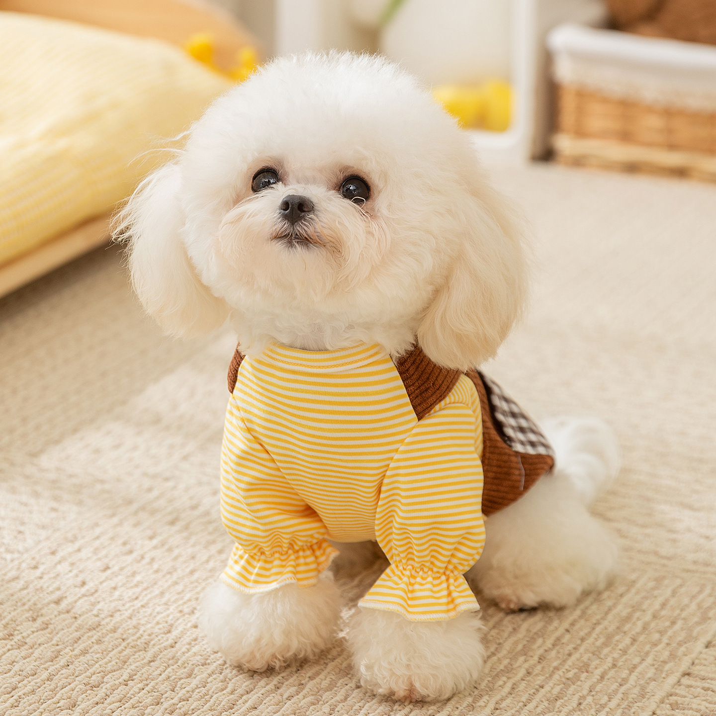 秋冬季狗狗衣服格子口袋背带牵引两脚卫衣泰迪幼犬小型犬宠物衣服