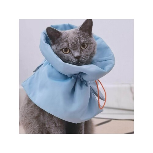 伊丽莎白圈猫绝育项圈防舔除跳蚤英短猫咪脖圈颈圈头套狗宠物用品