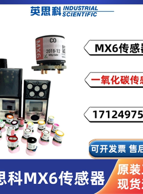 英思科MX6便携式多气体检测仪配件一氧化碳传感器17124975-1