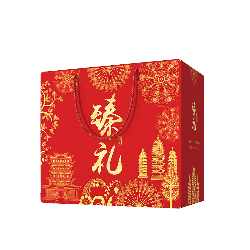 菌汤包云南特产山珍菌菇年货礼盒