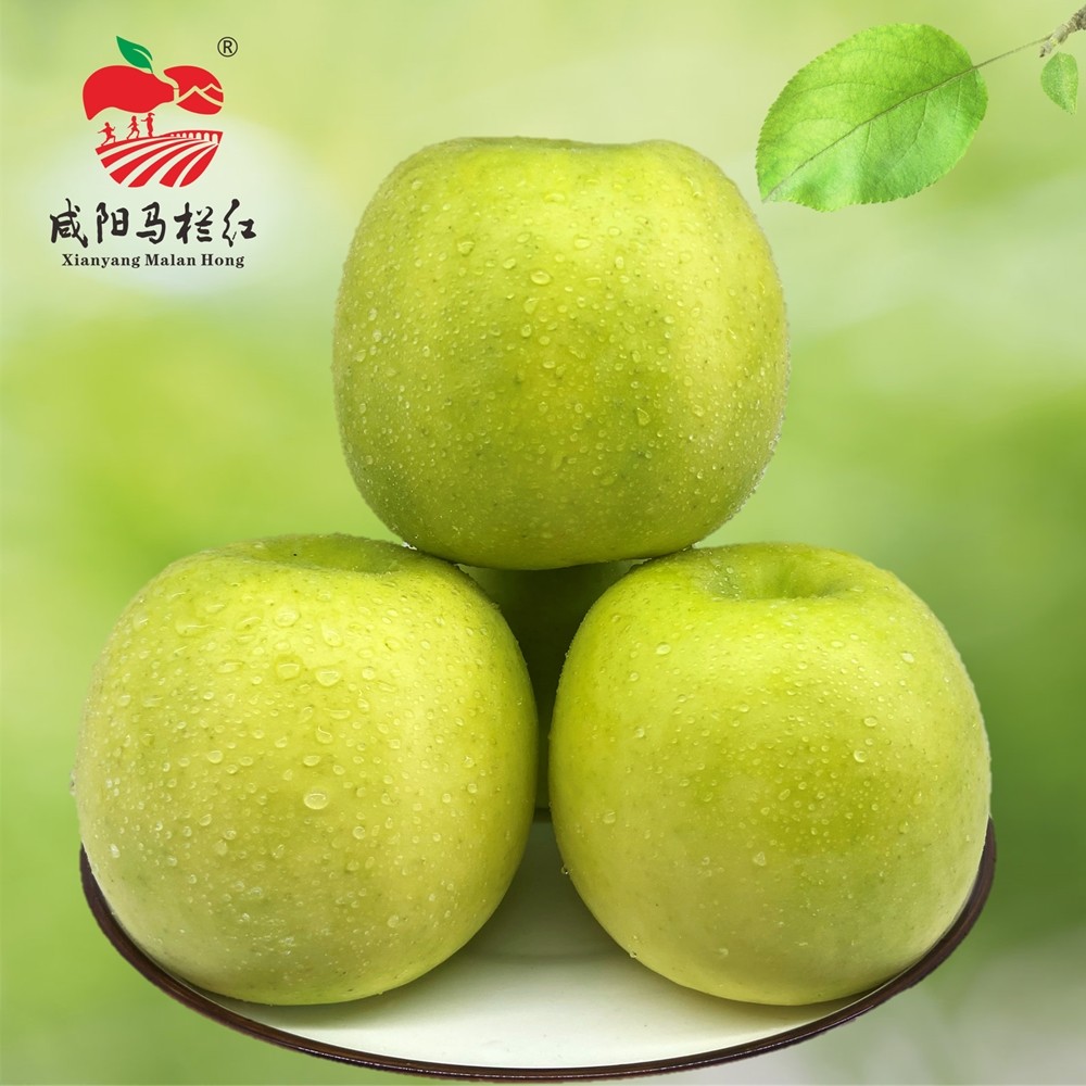 咸阳马栏红地理标志证明瑞雪苹果特甜多汁脆香西农高端精品礼盒装,水产肉类/新鲜蔬果/熟食,苹果,淘宝优惠券,粉丝福利购,淘宝优惠卷