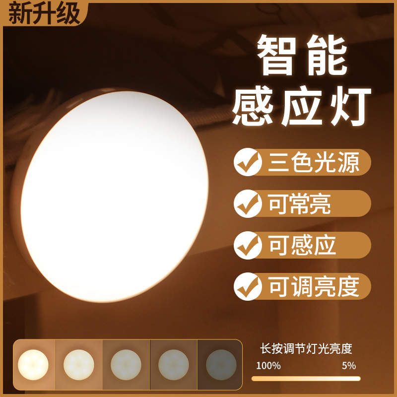 智能感应充电声控过道小夜灯