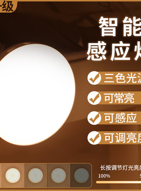 智能感应小夜灯声控家用过道楼道磁吸充电卧室睡眠夜间感应灯无线
