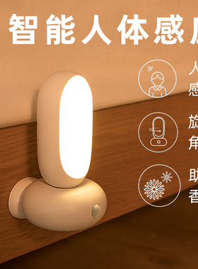 智能人体感应灯led小夜灯家用无线充电声控光控衣柜走廊过道楼道