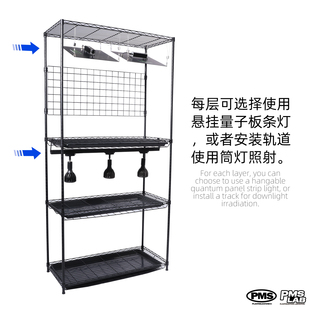 块根热带植物花架灯架植物架龟甲龙龙舌兰鹿角蕨龟背花烛植物柜