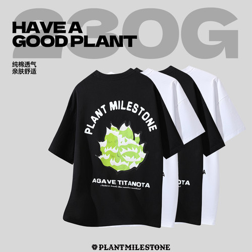 短袖块根植物夏季龙舌兰仁王冠