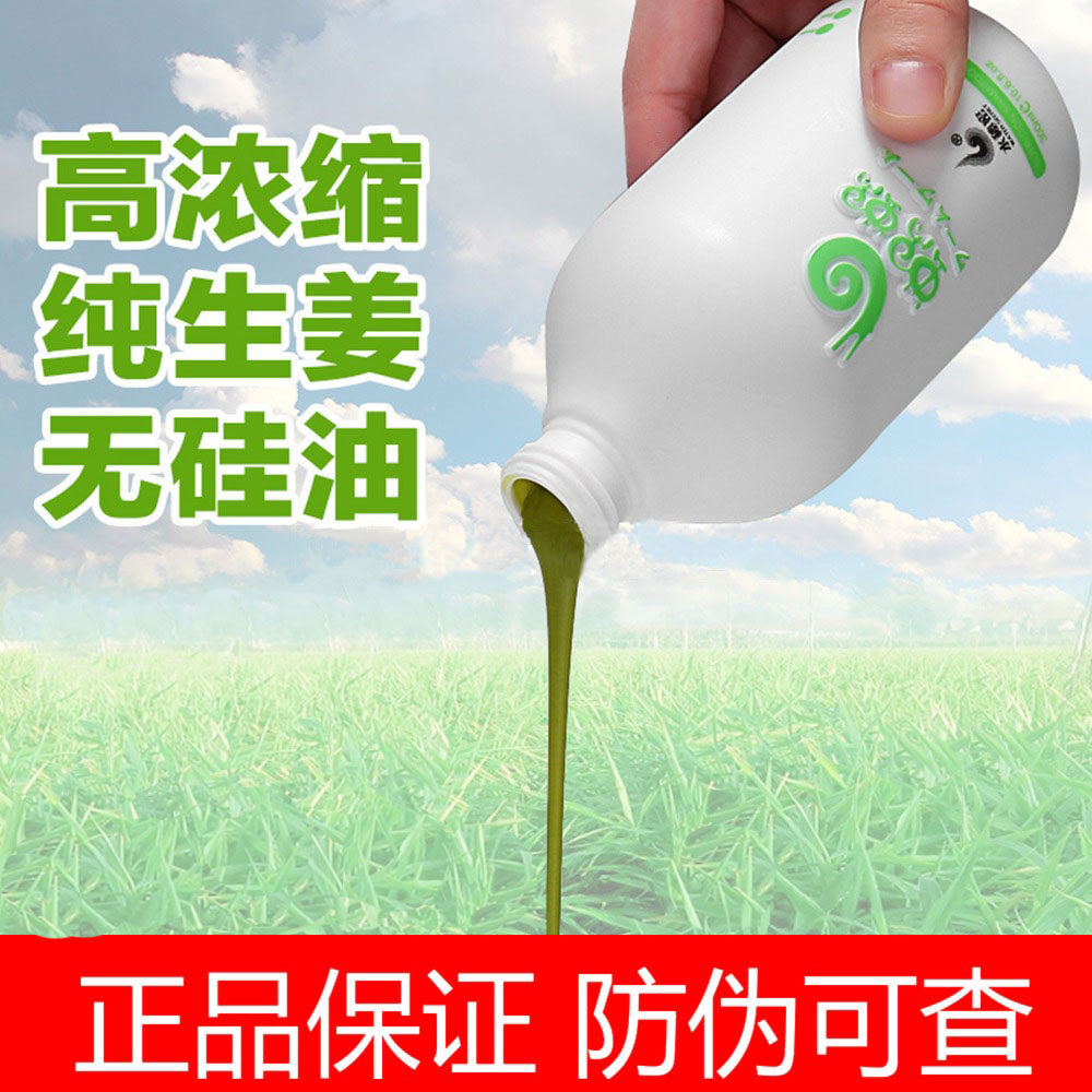 蜗蜗生姜洗发水套装营养发膜纯生姜不含硅油止痒控油洗发露男女