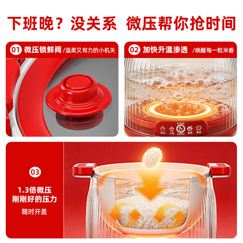 罗娅微压电饭煲炖汤火锅